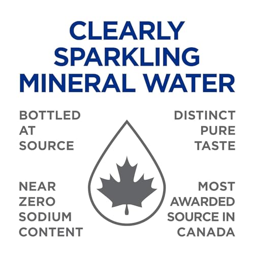 Clearly Canadian Mountain Blackberry Sparkling Water, 11 Fl Oz