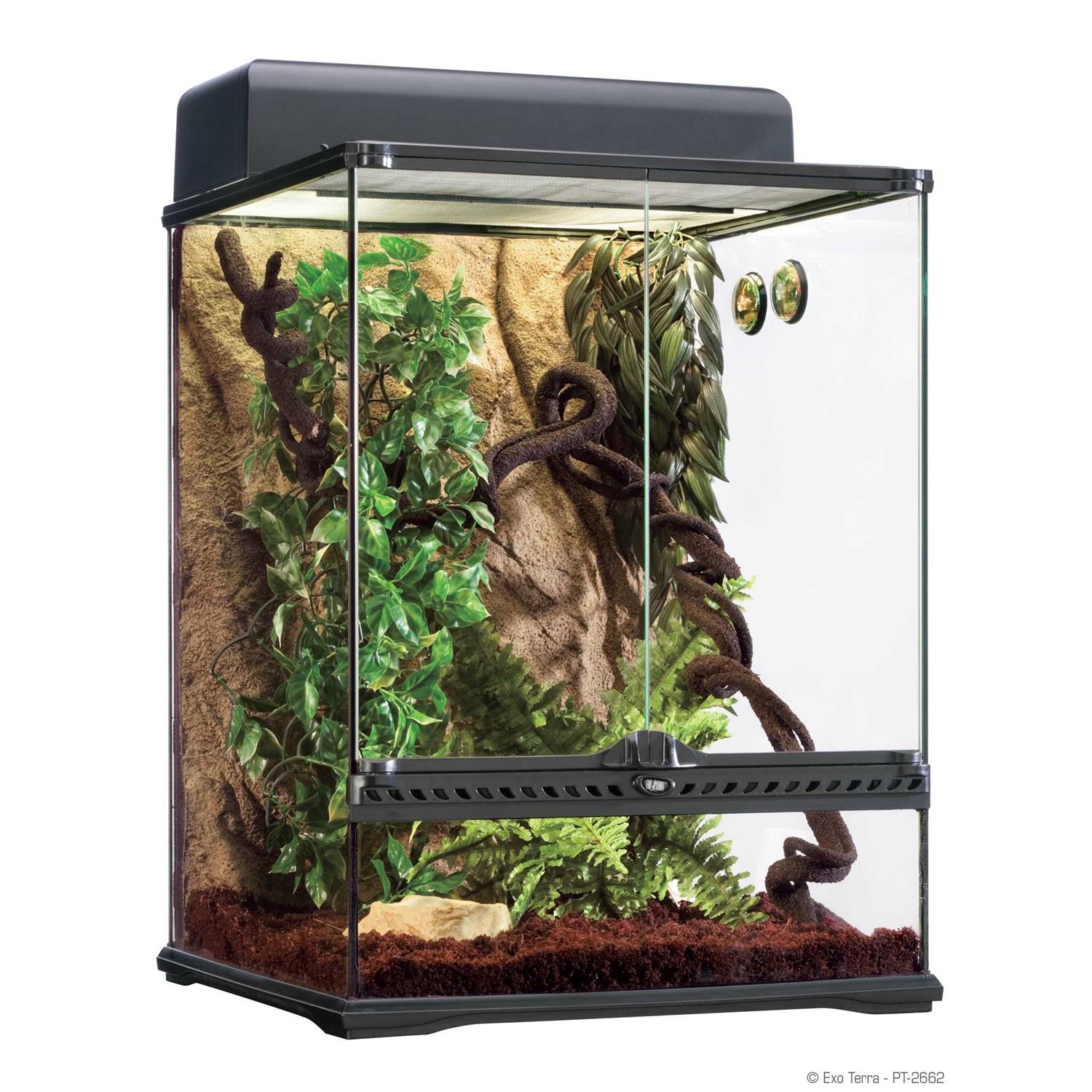 Exo Terra Rainforest Habitat Kit - Pet Supplies online store
