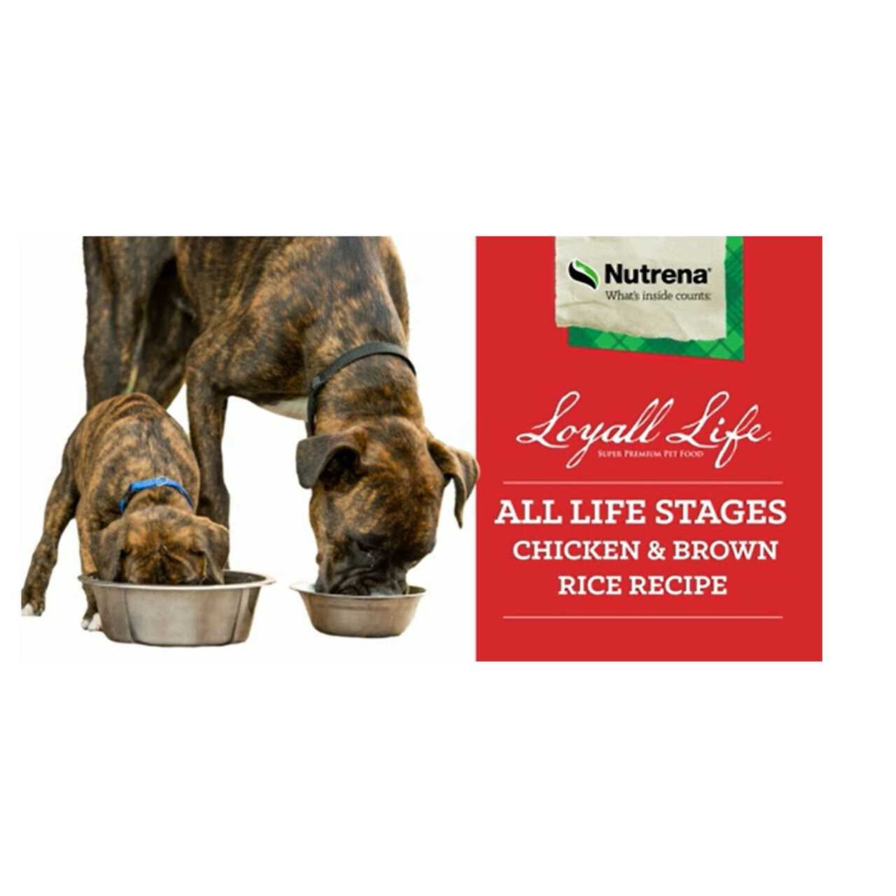 Loyall Life All Life Stages Chicken Brown Rice Dog Food - Pet Supplies online store