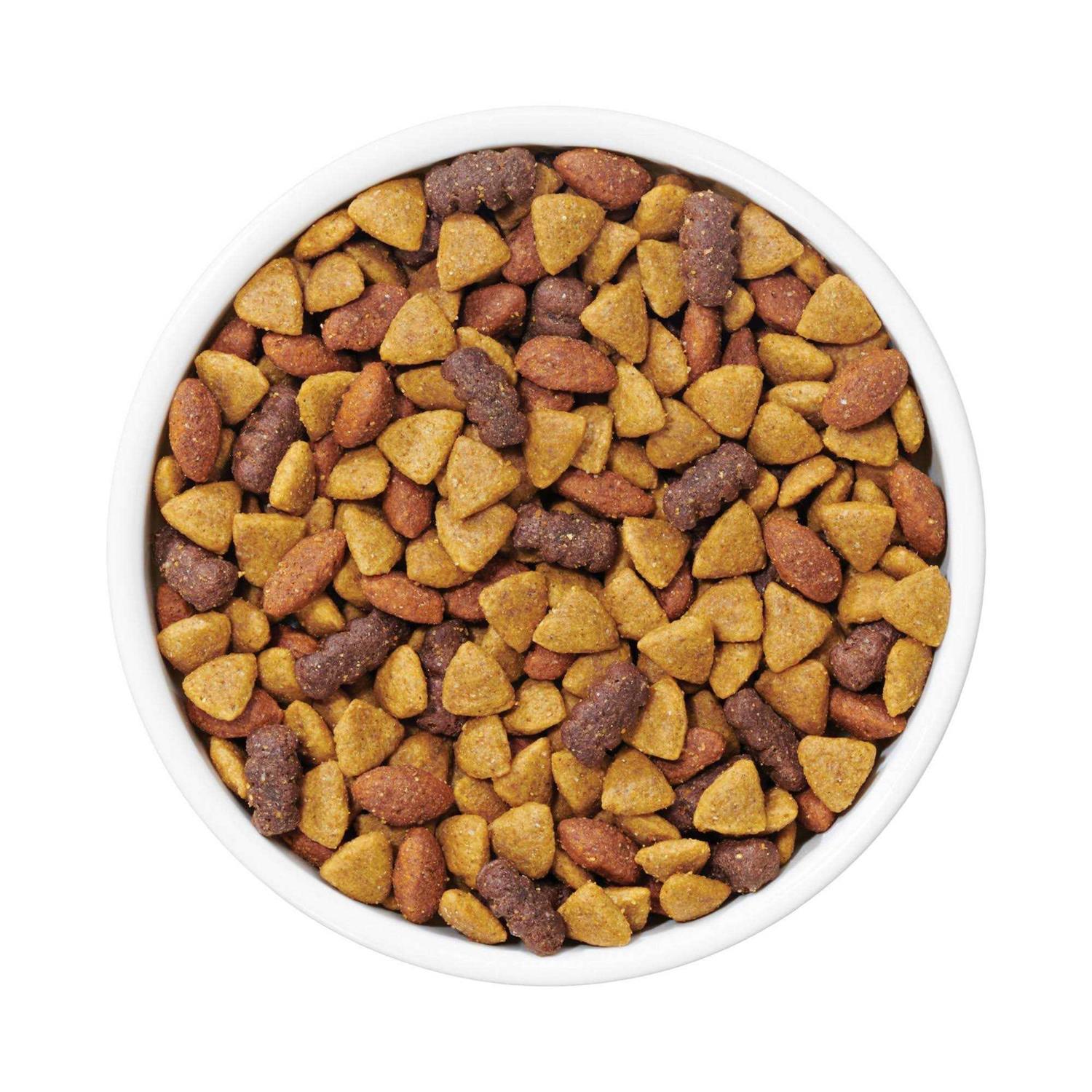 Dog Chow Purina Complete Adult Dry Dog Food - Pet Supplies online store