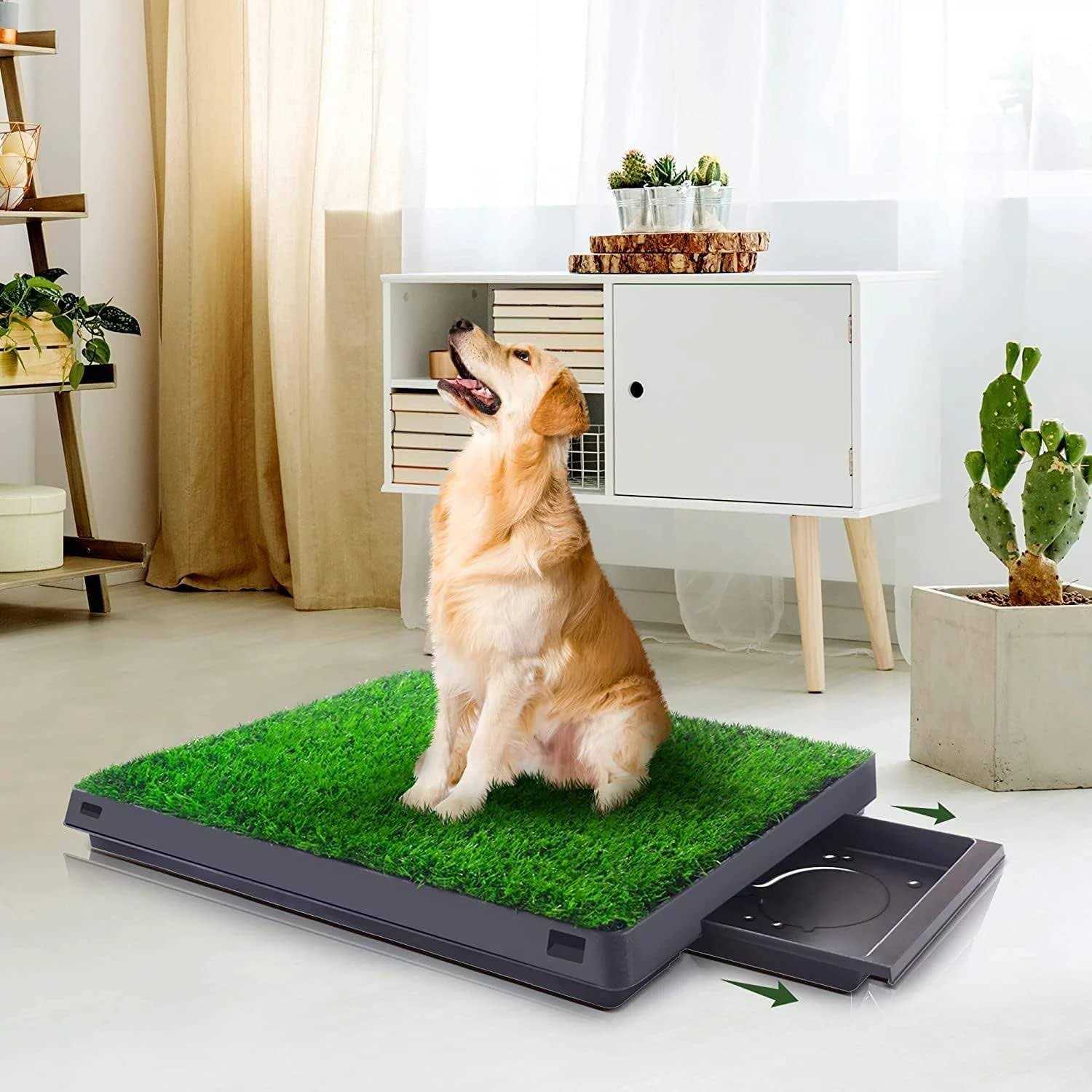 Dog Grass Pad with Tray Artificial Dog Grass Pee Pad 20” x 25” for Pet Potty Loo Indoor Training Outdoor Portable Toilet - Pet Supplies online store