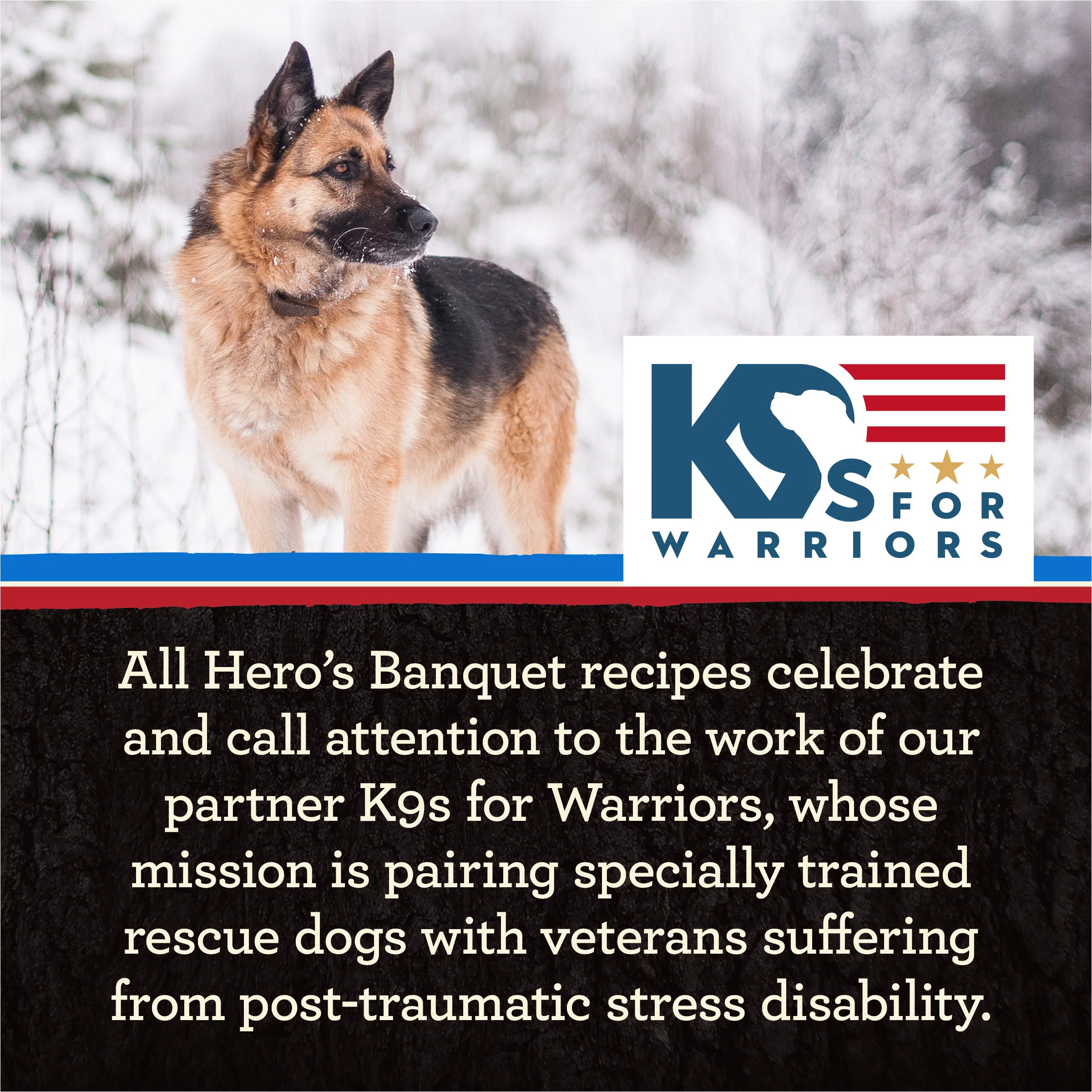 Merrick Backcountry Beef Lamb & Rabbit Dog Food, Grain Free, 4 lb Bag