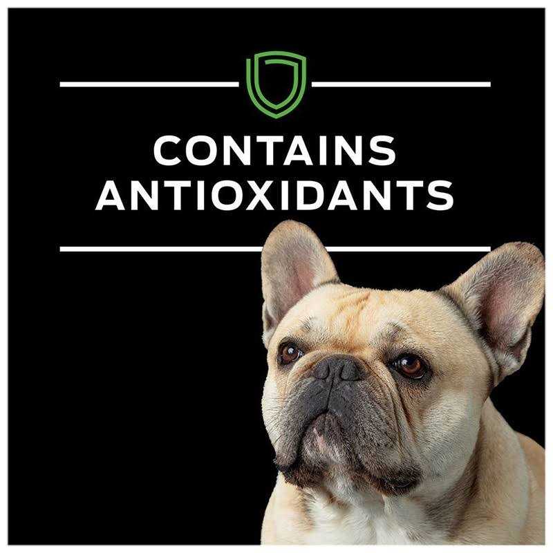 Purina Pro Plan Veterinary Diets HA Hydrolyzed Chicken Flavor Canine Formula in Sauce adult Wet Dog Food - Pet Supplies online store