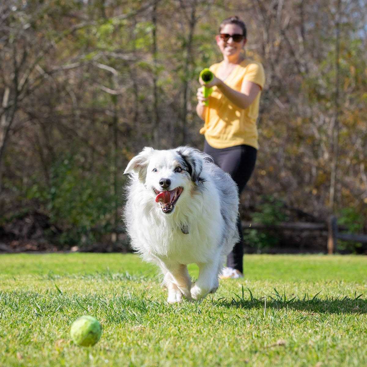 Hyper Pet K9 Kannon Ball Launcher - Pet Supplies online store