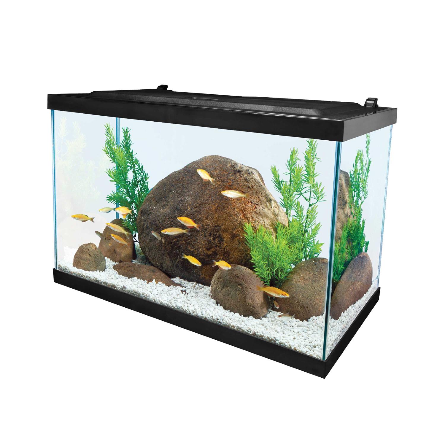 Tetra 20 Gallon Glass LED Aquarium Kit - Pet Supplies online store