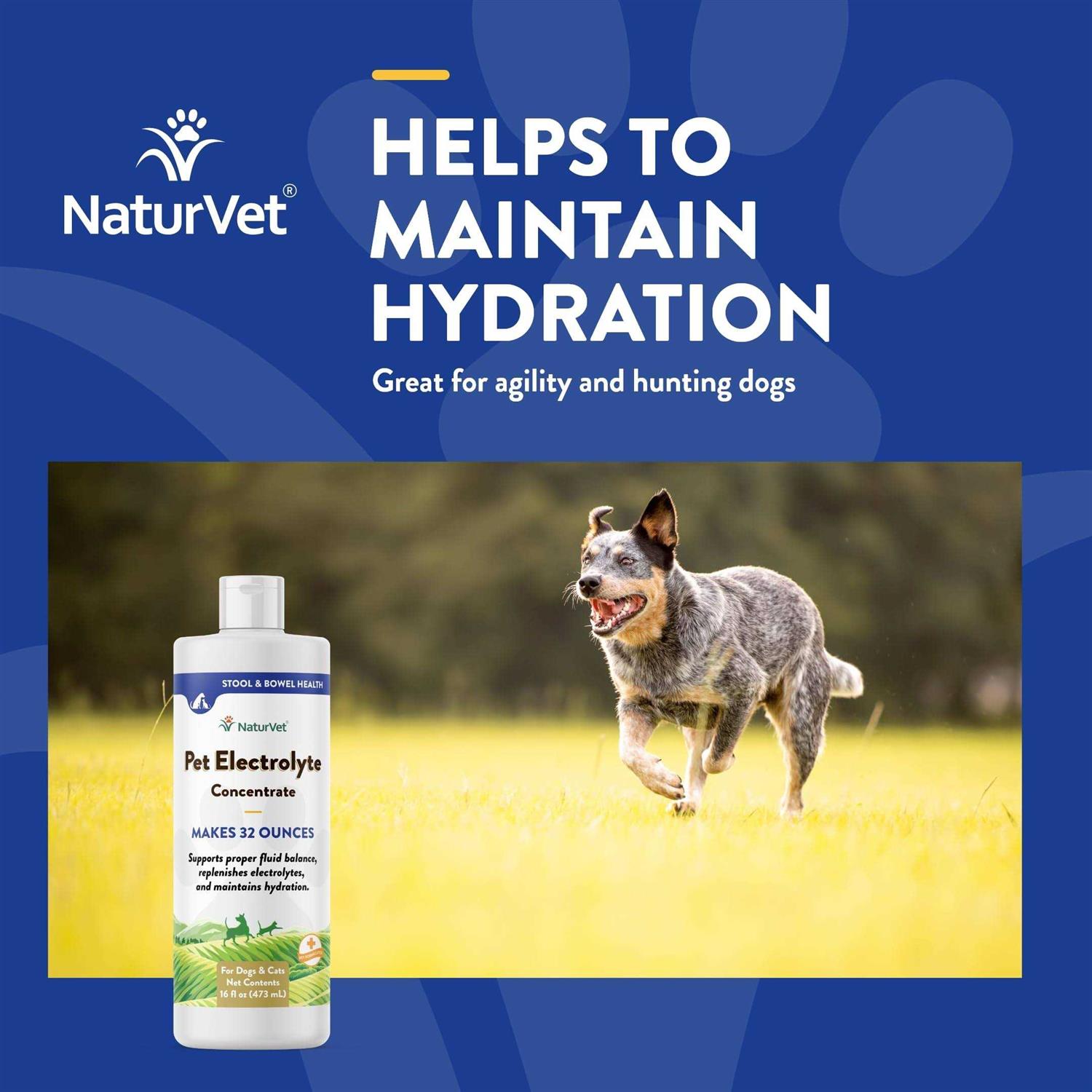 NaturVet Pet Electrolyte Concentrate 16 oz for Dogs & Cats - Pet Supplies online store