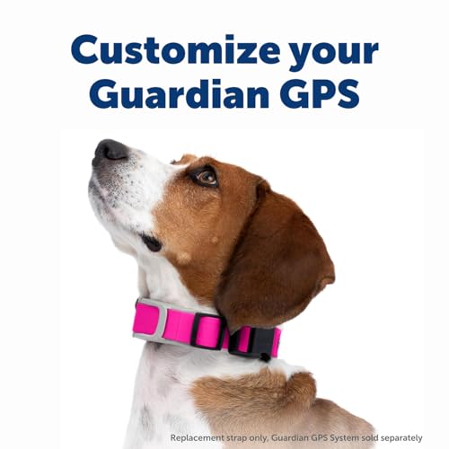 PetSafe Guardian GPS Dog Fence – No Subscription – Create Your Own Wireless Fence for Dogs – for Yards 3/4 Acres or Larger – World's Safest GPS Dog Fence Tech – New, Redesigned Collar