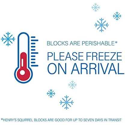 Henry's Healthy Blocks Nutritionally Complete Food for Squirrels, Flying Squirrels, and Chipmunks - Pet Supplies online store