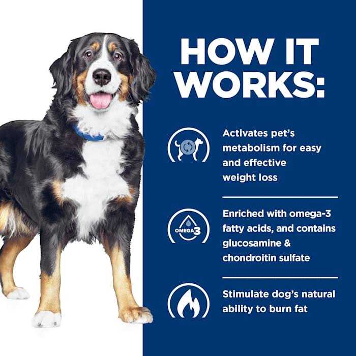 Hill's Prescription Diet Metabolic + Mobility Weight & Joint Care Chicken Flavor Dry Dog Food - Pet Supplies online store