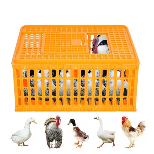 Poultry Carrier Crate Plastic Chicken Transport Crate Cage Heavy Duty Chicken Carrier Crates Crates Transport Box