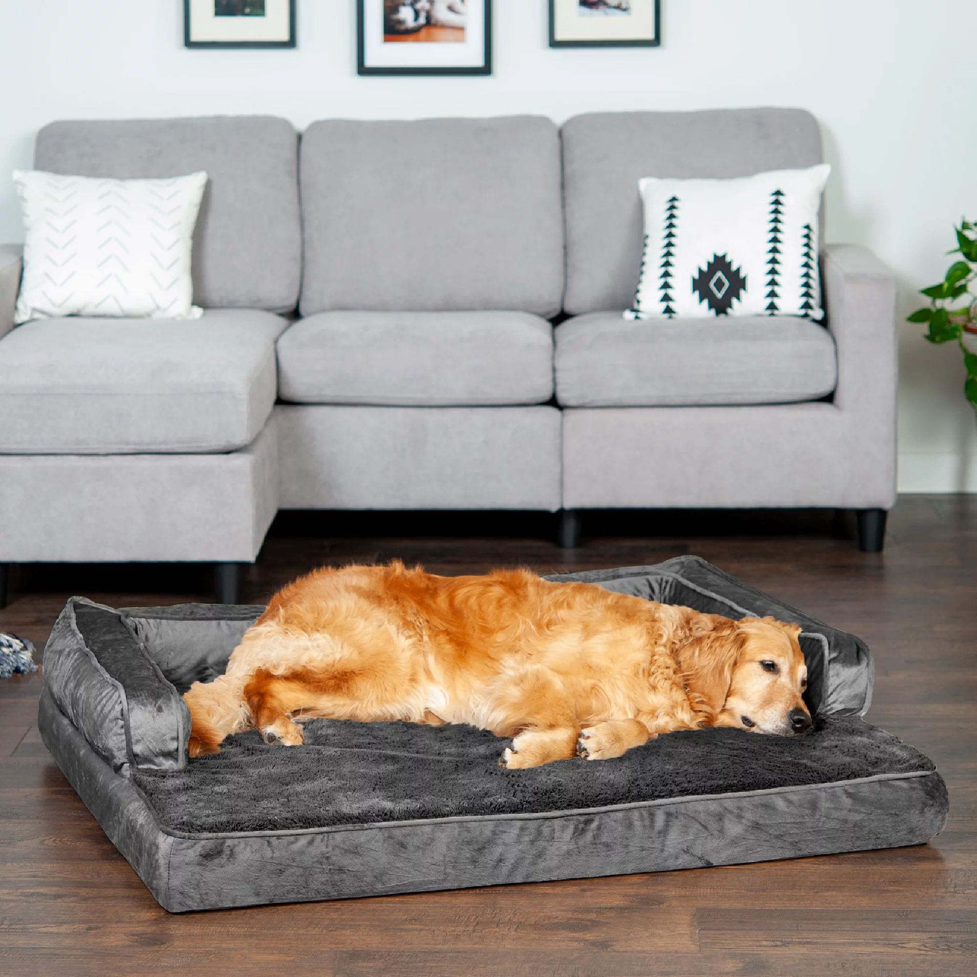 FurHaven Pet Products Plush & Velvet Comfy Couch Orthopedic Sofa-Style Pet Bed for Dogs & Cats - Dark Gray, Jumbo - Curated Treasures Market