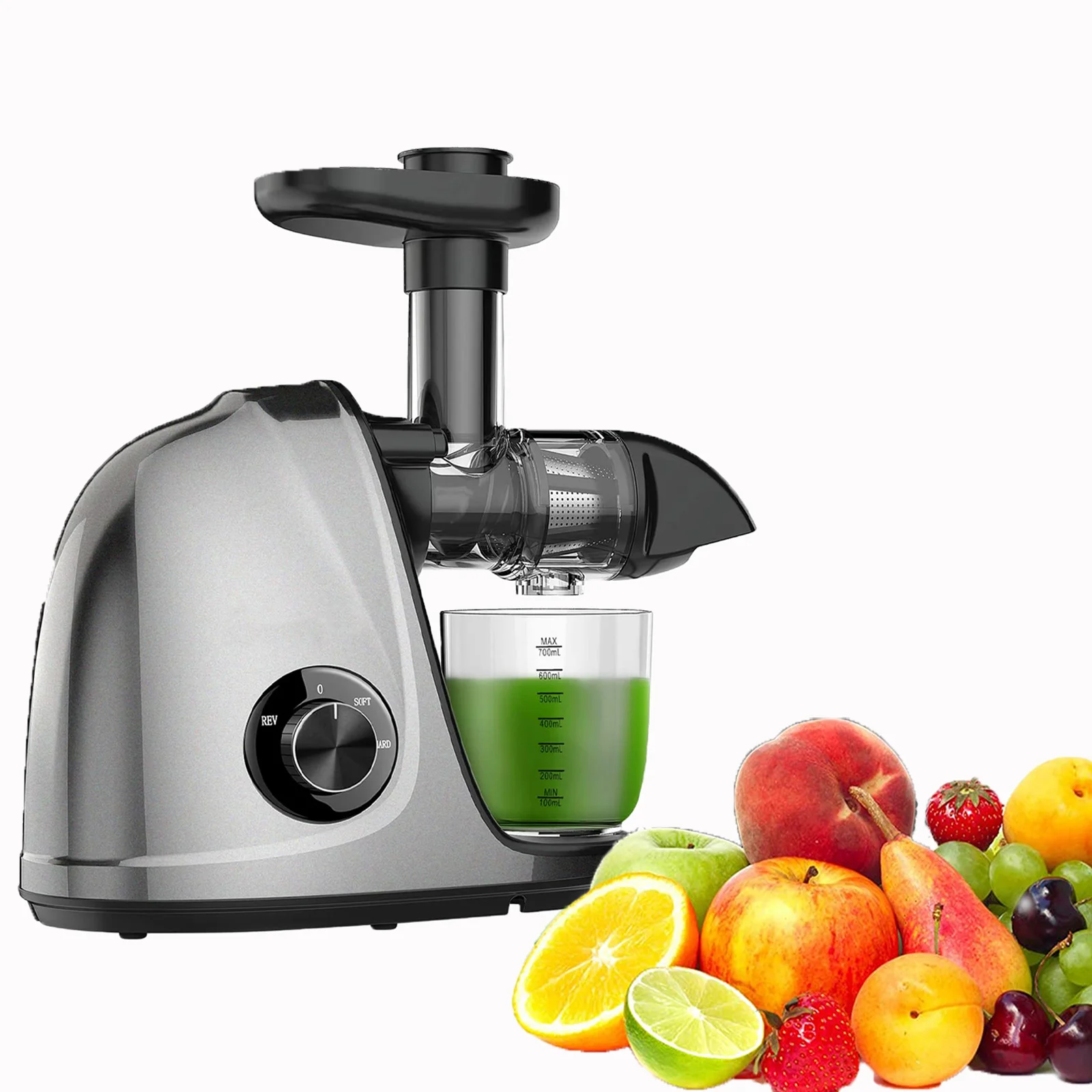 Slow Masticating Juicer Machines - Cold Press Slow Juicer for Fruits & Vegetables with 2-Speed Modes (Grey)