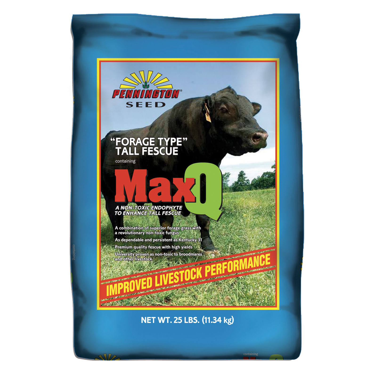 Pennington MaxQ Jesup Forage Tall Fescue
