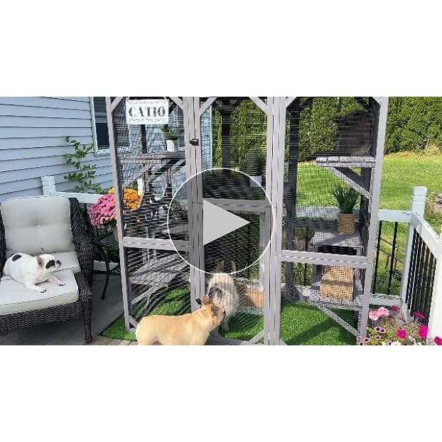Gutinneen Catio Large Cat House Outdoor Walk in Outdoor Cat Enclosure Indoor Cage Kitty Condo Playpen with Door - Pet Supplies online store