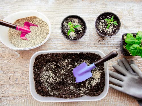 Palmetto Vermiculite Company 4 Cubic Foot Planting Soil Additive (Perlite)