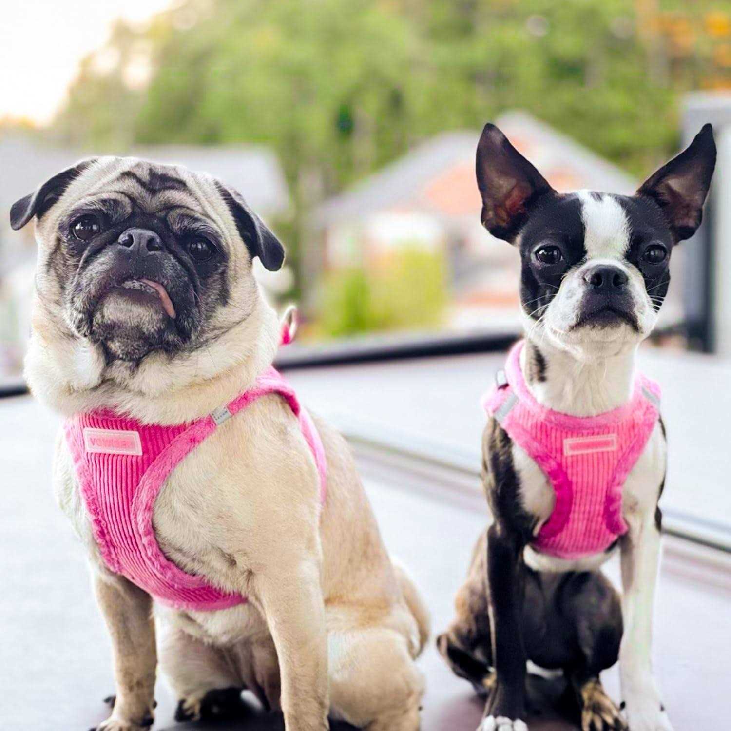Voyager Step-In Plush Dog Harness Soft Plush, Step In Vest Harness for Small and Medium Dogs by Best Pet Supplies - Pet Supplies online store