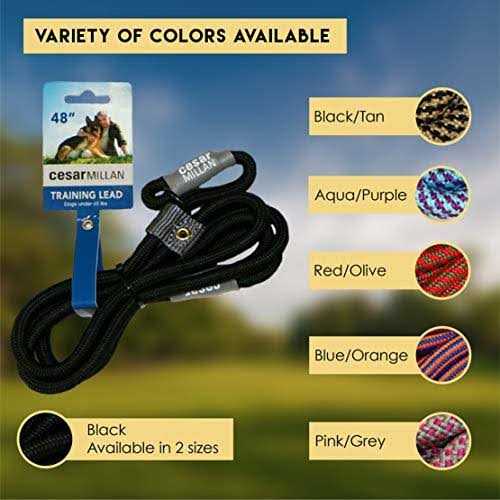 Cesar Millan Slip Lead Leash 2-in-1 Slip Collar Dog Training Lead & Collar - Pet Supplies online store