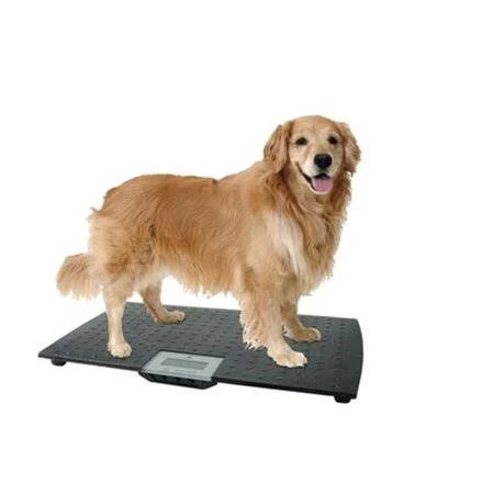 PetPride Large Digital Pet Scale - Black PE959012