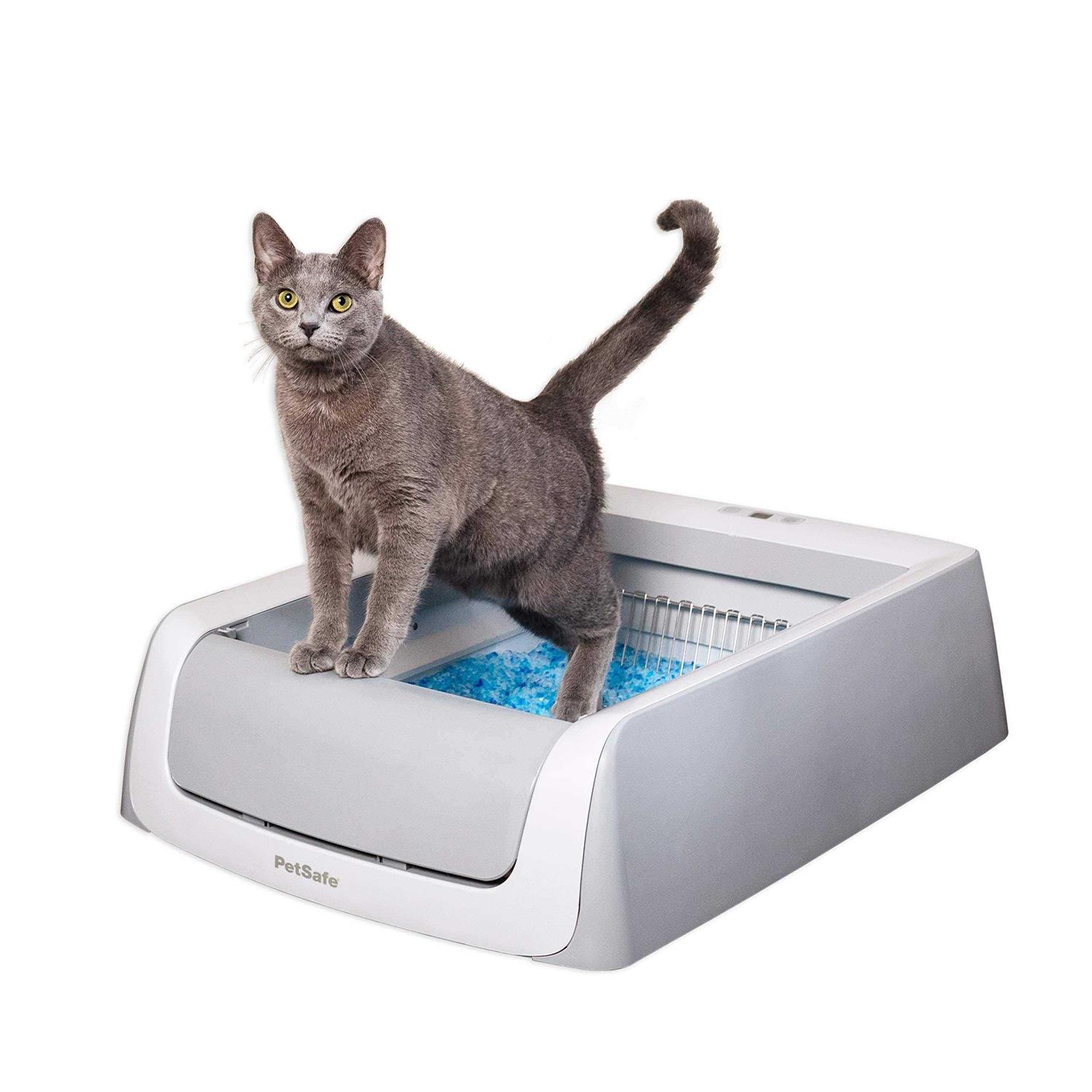 PetSafe ScoopFree Self-Cleaning Cat Litter Box - Pet Supplies online store
