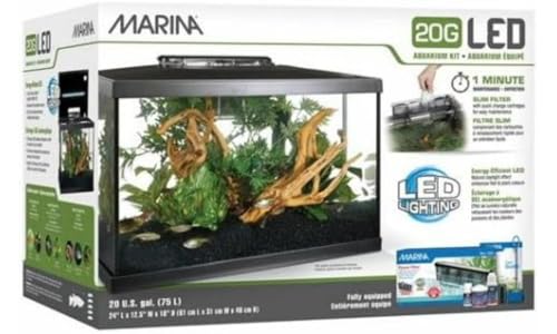 Marina 5 Gallon (19 L) LED Aquarium Kit – Ideal for Beginner Aquarists and New Fish-Keepers