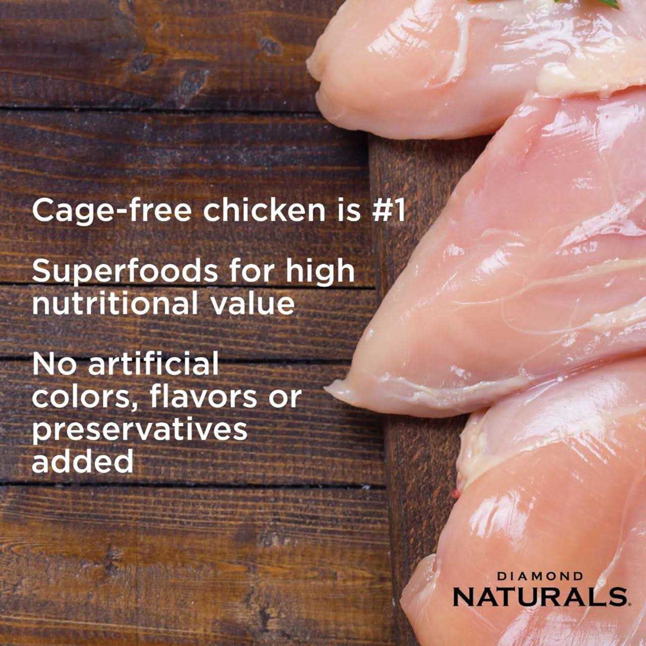 Diamond Naturals Senior Dry Dog Food - Pet Supplies online store