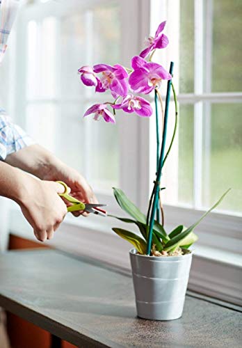 Miracle-Gro Orchid Potting Mix Coarse Blend, For Indoor or Outdoor Container Plants, Feeds for up to 6 Months, 8 qt., 3-Pack