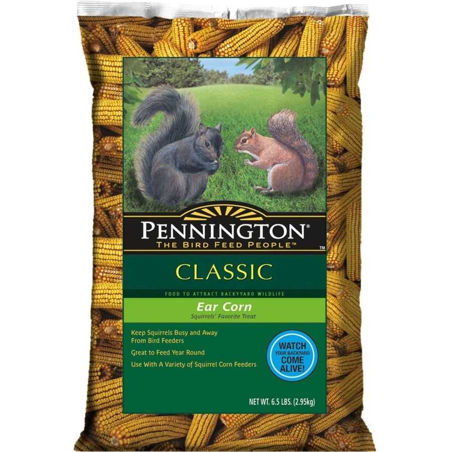 Pennington Classic Whole Ear Corn, Squirrel and Critter Feed - Pet Supplies online store
