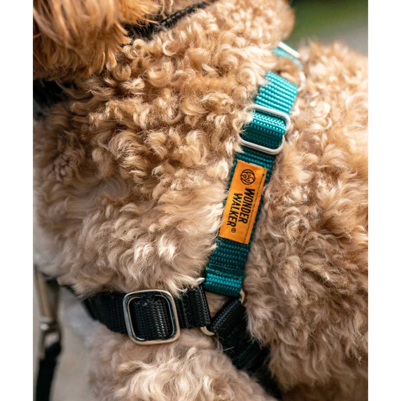 Wonder Walker Body Halter Dog Harness - Pet Supplies online store