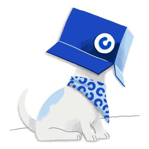 Ourpets Sushi Interactive Puzzle Game Dog Toys & Cat Toys Great Alternative to Snuffle Mat for Dogs - Pet Supplies online store