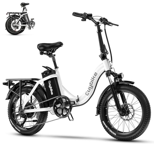 1000W Folding Electric Bike 80 Miles Max Range,30+MPH,48V20A Removable Lithium-Battery,20
