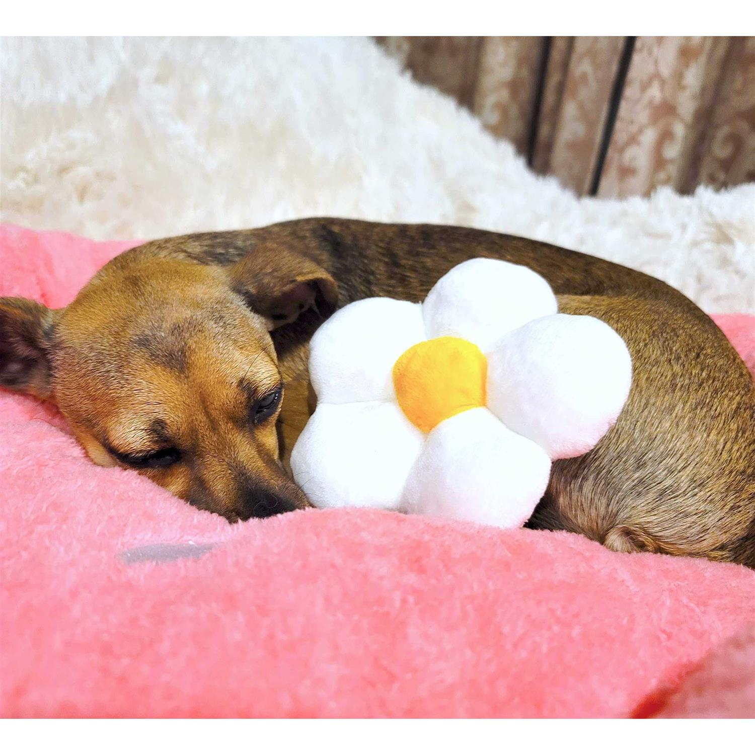 TONBO Soft Plush Small Cute and Cozy Food Dog Cat Bed, Washer and Dryer Friendly - Pet Supplies online store