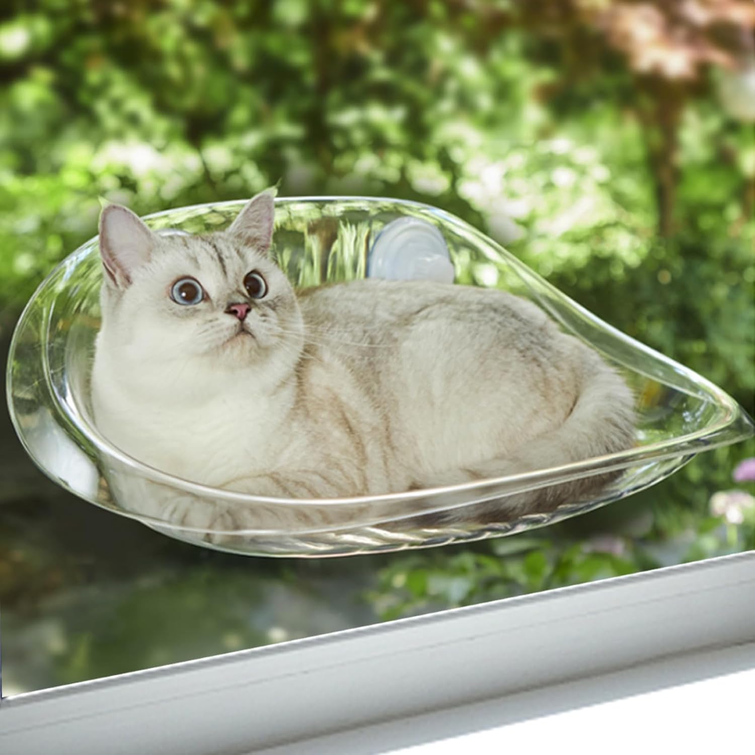 Cat Window Perch, Cordless Transparent Cat Window Hammock, Safety Cat Indoor Furniture, Easy to Install Cat Bed for Large Cats and Kittens