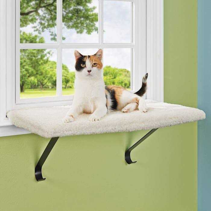 EveryYay Memory Foam Window Cat Perch - Pet Supplies online store