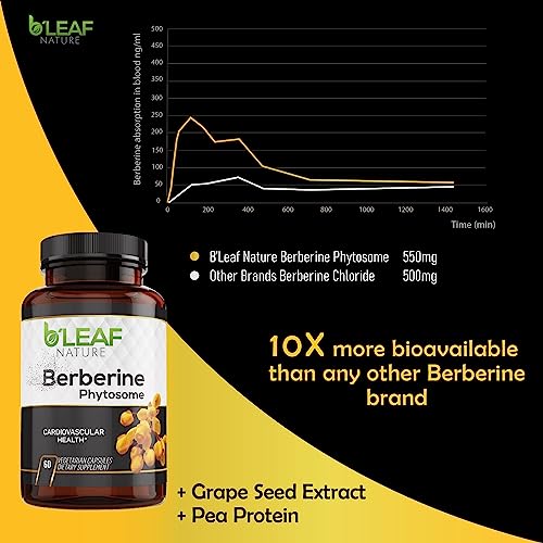 B’Leaf Nature's Berberine Phytosome Vegetarian Capsules - Superior Absorption, Natural Herbal Supplement for Better Health - Gluten-Free, Non-GMO - 120 Capsules, 1100mg per Serving