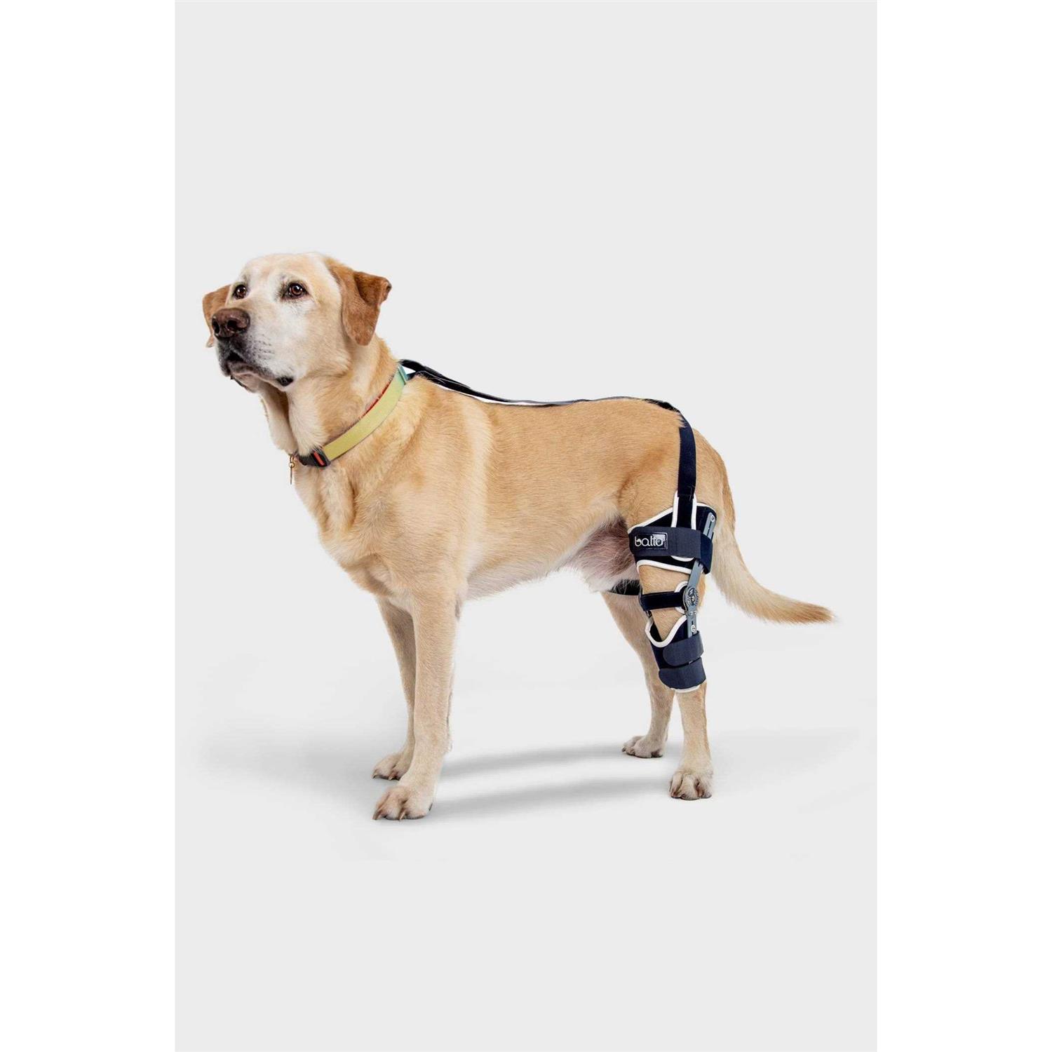 Balto Ligatek Adjustable Hinged Dog Knee Brace - Pet Supplies online store