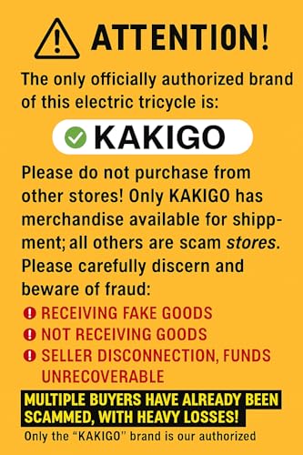 Electric Tricycle for Adults,500W E Trike,Folding Electric Bicycle,20