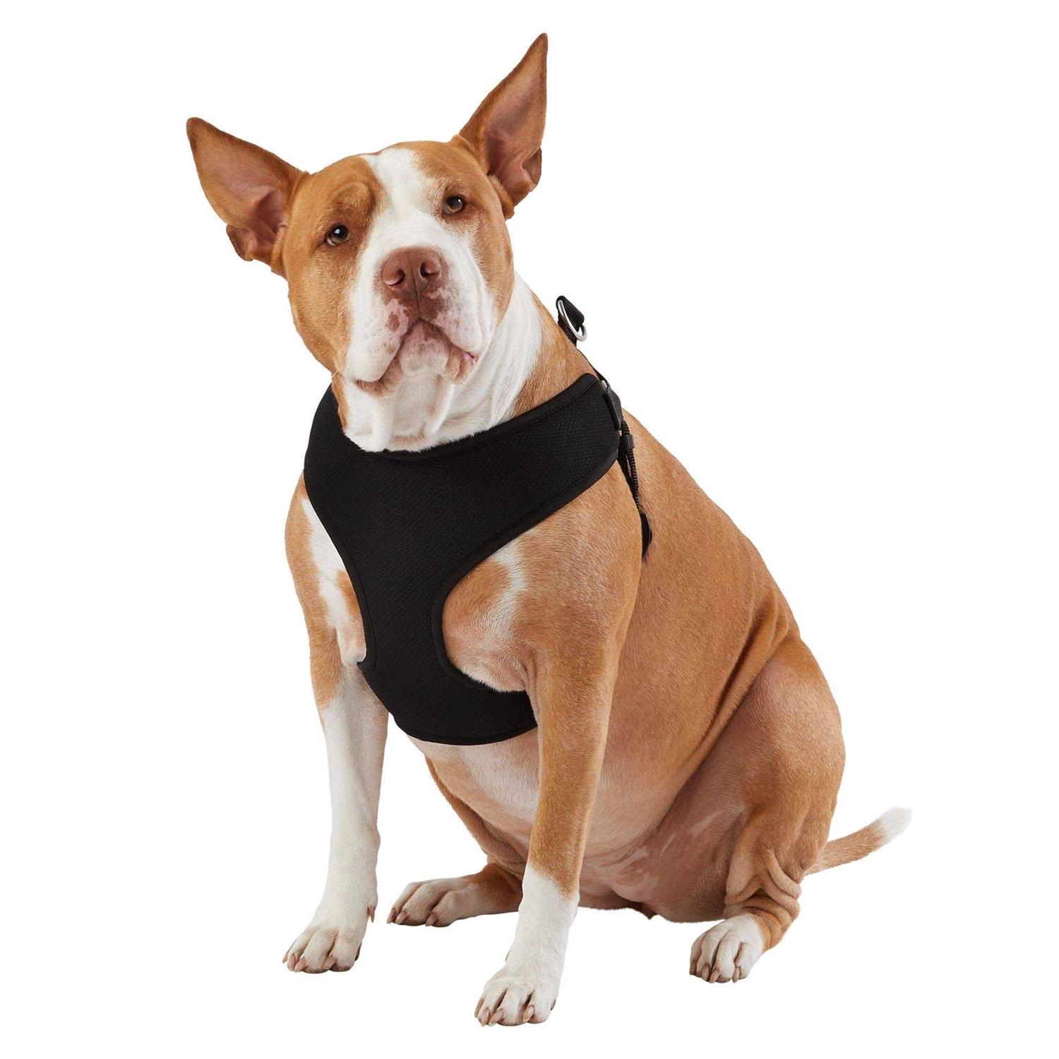 Top Paw Mesh Comfort Dog Harness - Pet Supplies online store