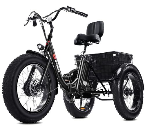 Geemax Electric Tricycle for Adults, 20