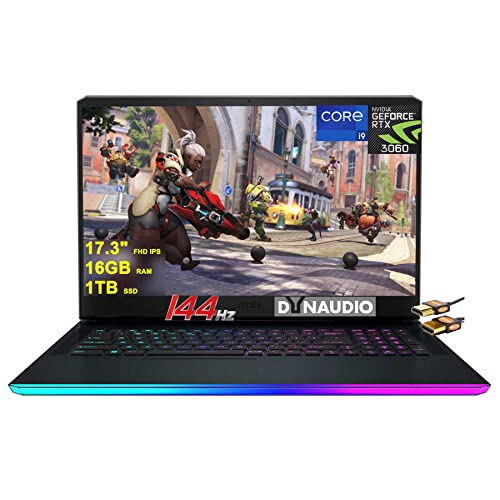 MSI GE76 Raider Gaming Laptop 17.3