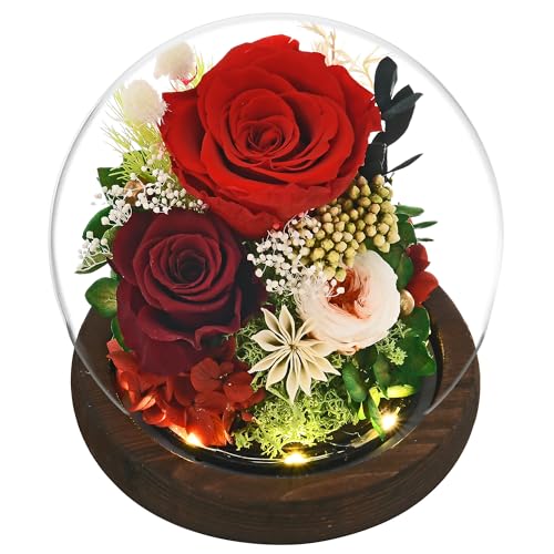 Roses Gifts for Her, Rose in Glass Dome with LED Light - Gifts for Women Mom Grandma Her Girlfriend Wife