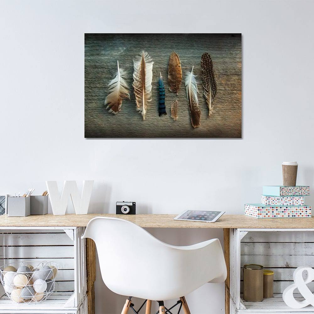 Sue Schlabach Canvas Wall Decor Prints - Feather Collection I ( Decorative Elements u003E Feathers art)