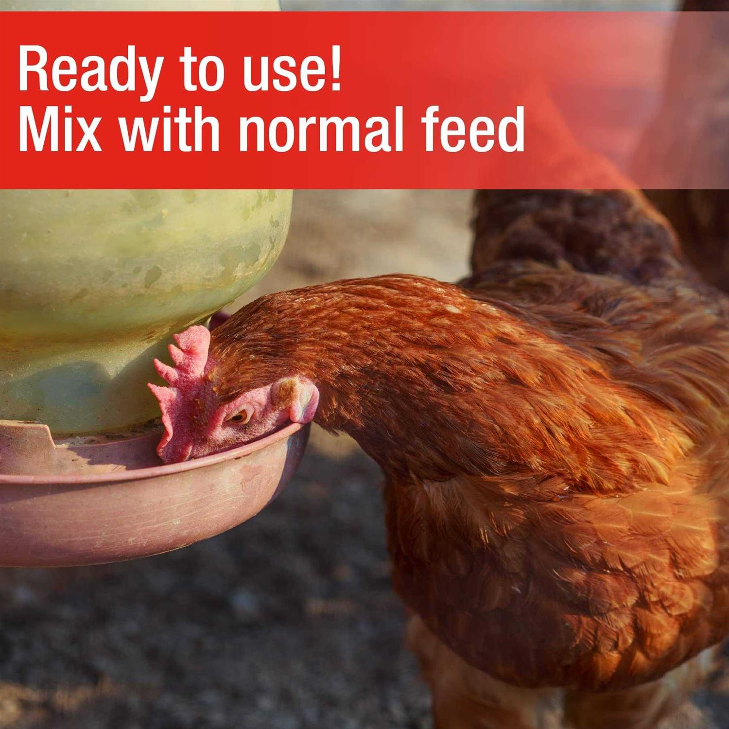 Cherry Stone Poultry Grit - Pet Supplies online store