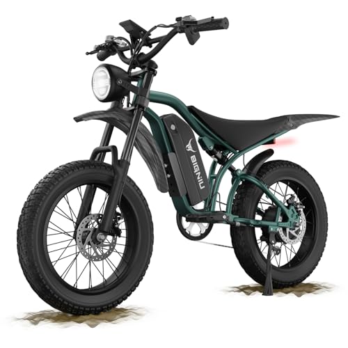 Electric Bike for Adults – 20