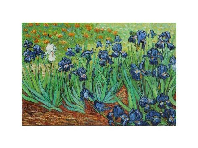 Van Gogh Paintings: Irises - Hand Painted Canvas Art