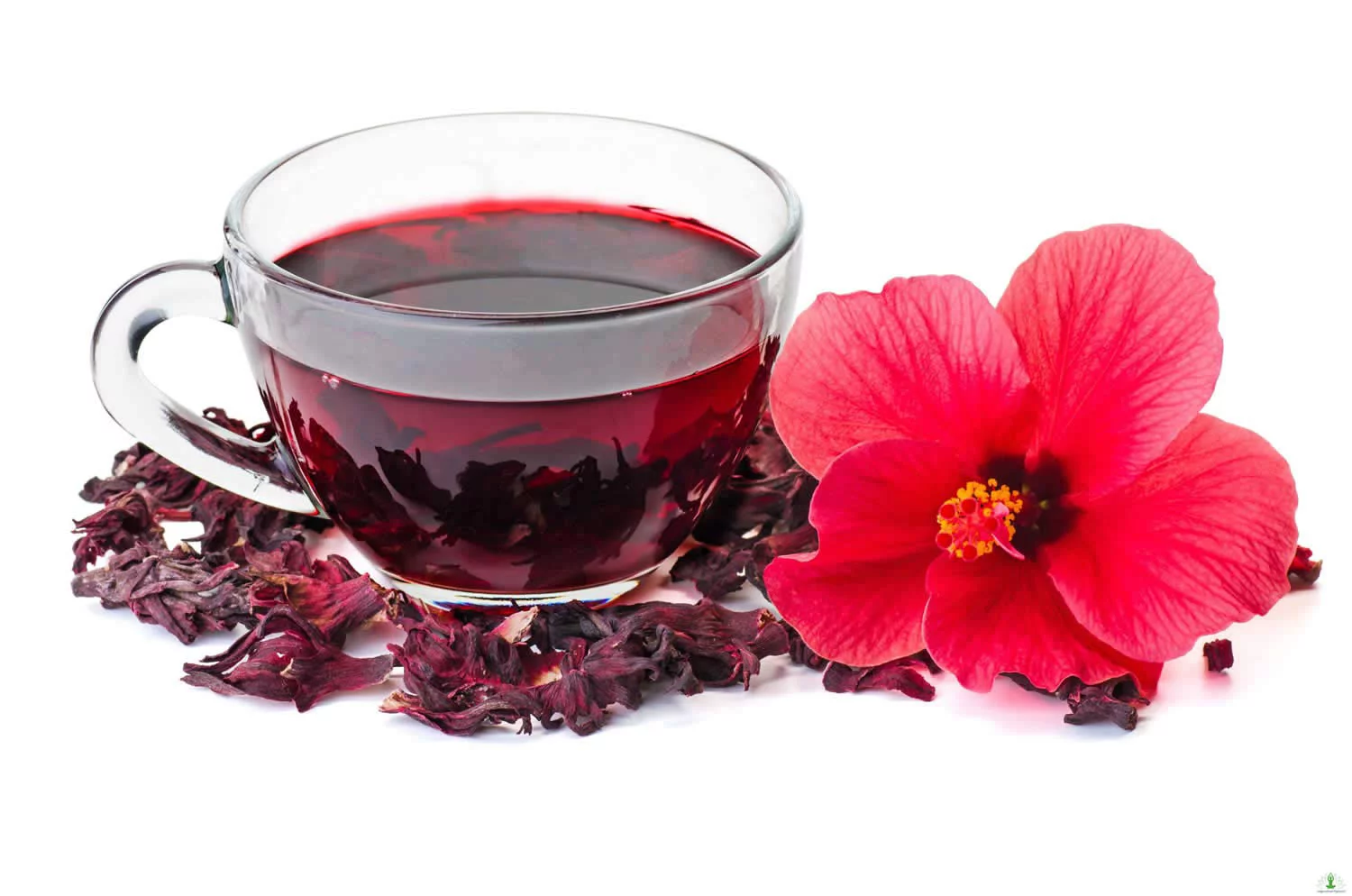 Hibiscus Flower Tea, cut & sifted 16 oz  | Dried Herbs | Bulk Hibiscus Tea