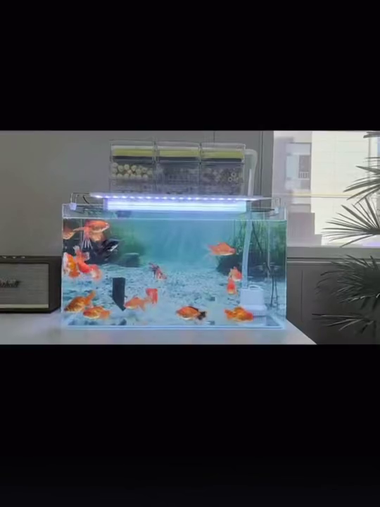 3D Aquarium Background Sticker, Pre-Cut No Trim Needed, Reusable Adhesive, HD Underwater Scene with Sunlight Effect, Easy Peel & Stick Fish Tank Decor for Fresh & Saltwater