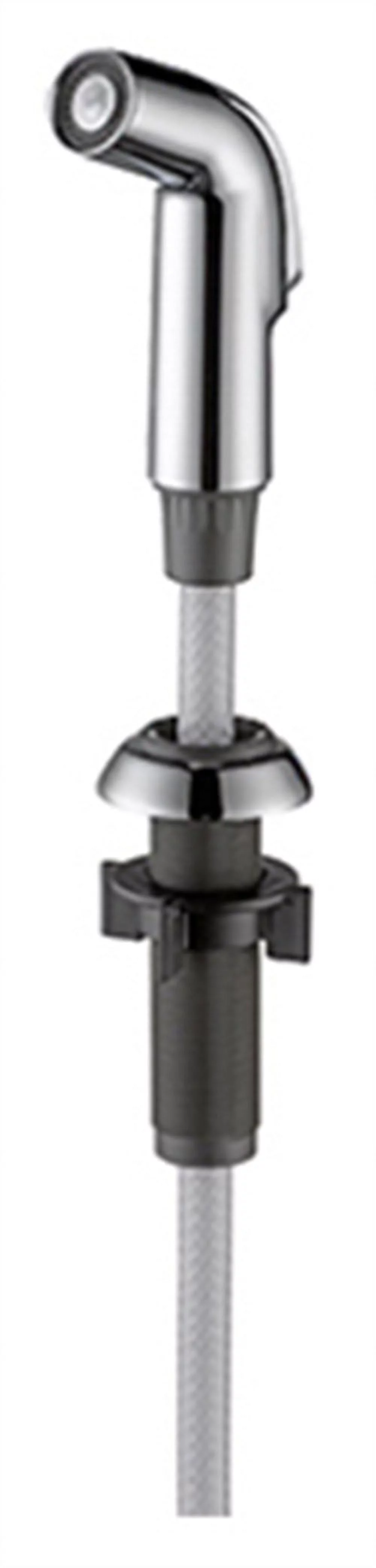 Delta Side Spray & Hose Assembly in Chrome RP60097