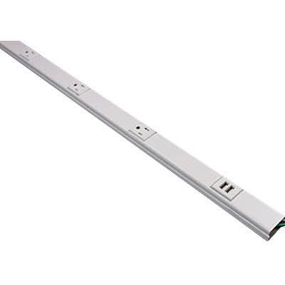 Wiremold G20GB506TRUSB Gray Tamper-Resistant USB