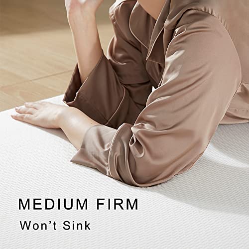 Cot Mattress Topper,Roll Up Camping Mattress,Portable Folding Sleep Mat,Narrow Twin High Density Ventilated Mattress Pad(75 x 30 X3 inch)