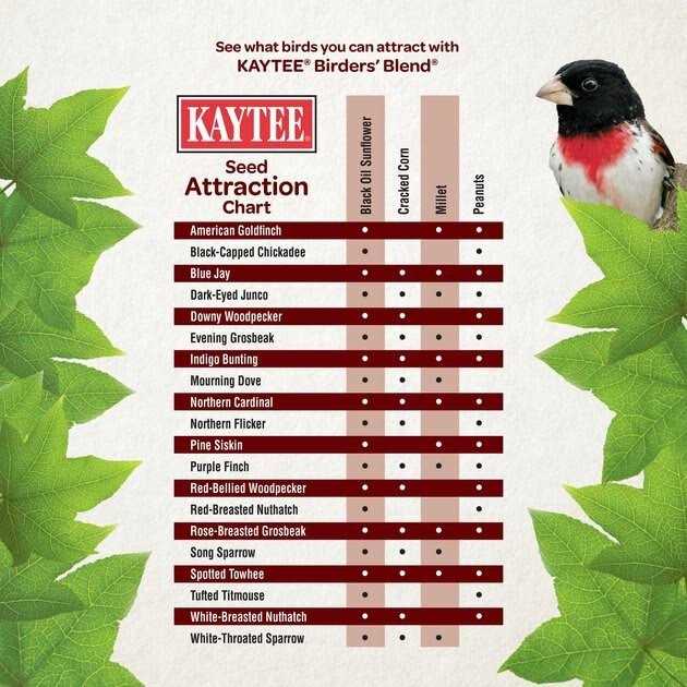Kaytee Birders Blend Wild Bird Food - Pet Supplies online store